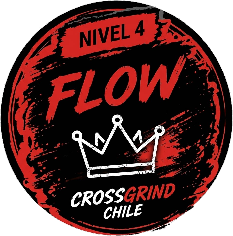 Calcomanía Nivel 4 - Flow